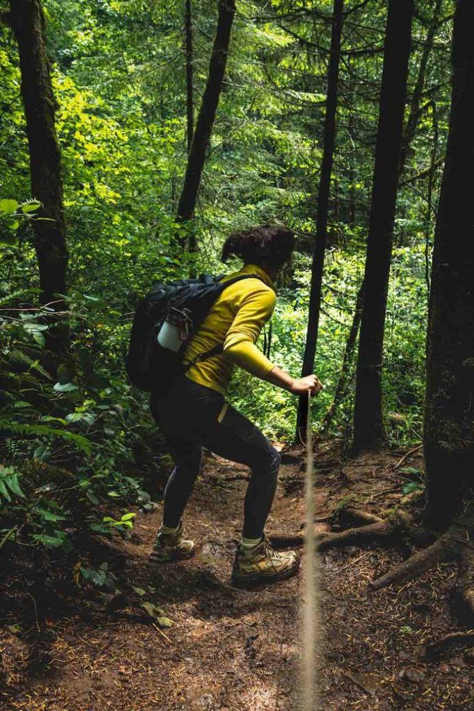 Your Guide to The Abiqua Falls Hike Near Portland