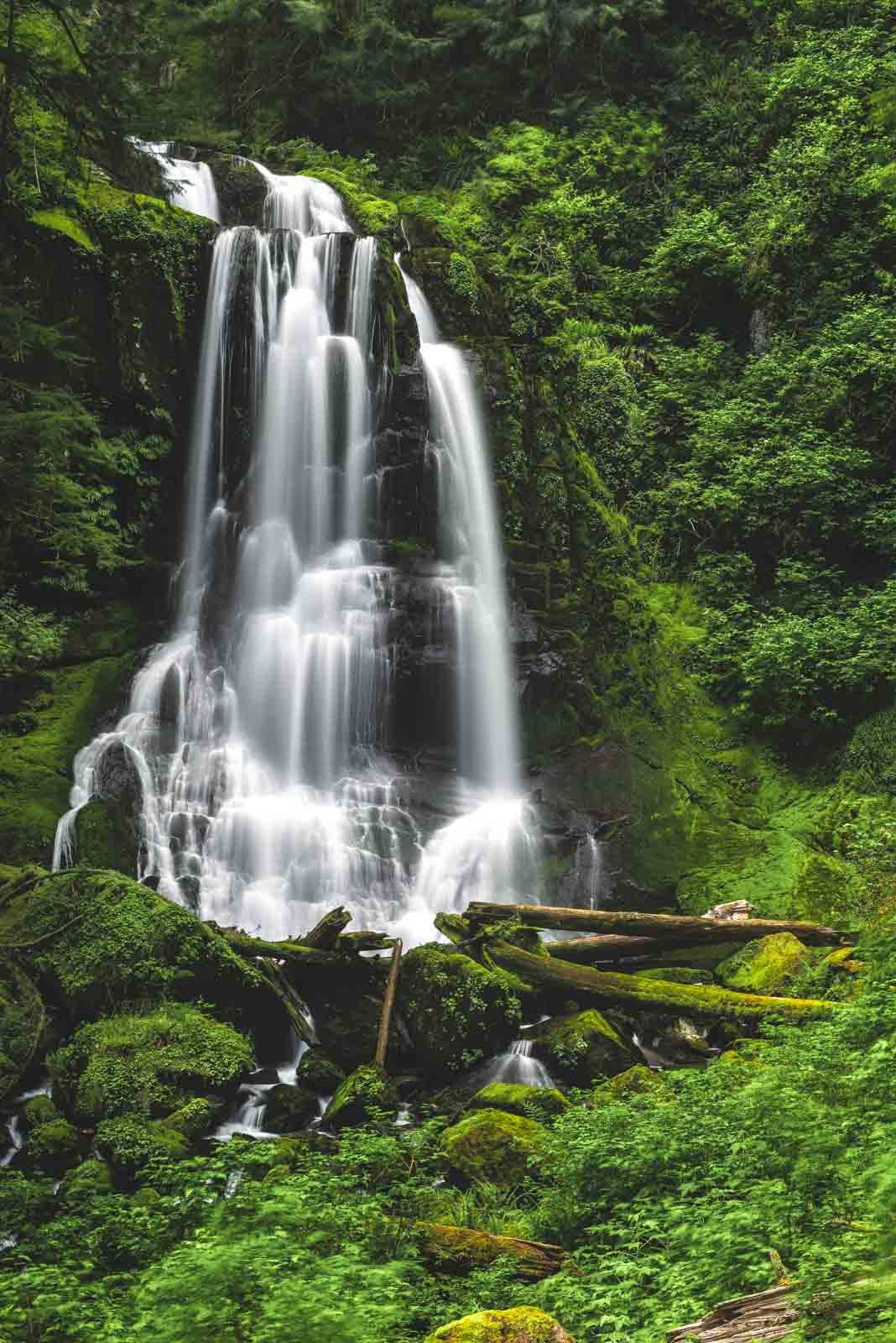Kentucky Falls is an Oregon waterfall hike that will reward you with some pretty views.