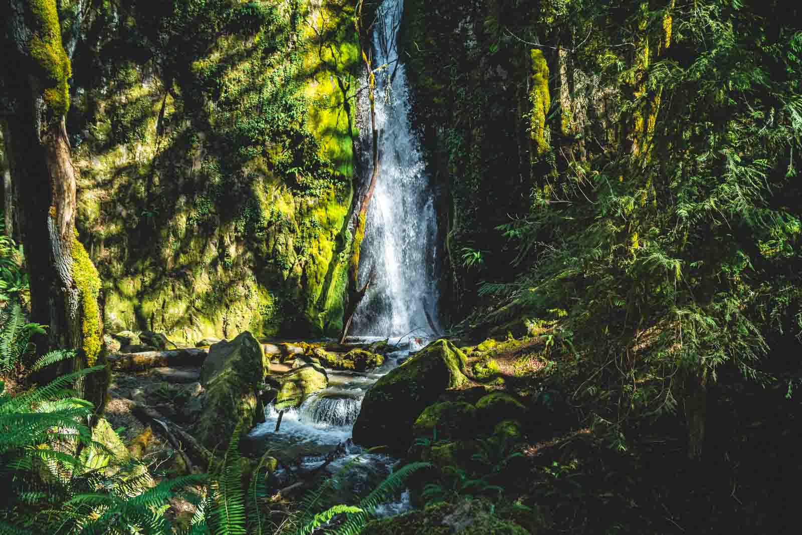 Lower Soda Creek Falls is another Oregon waterfall.