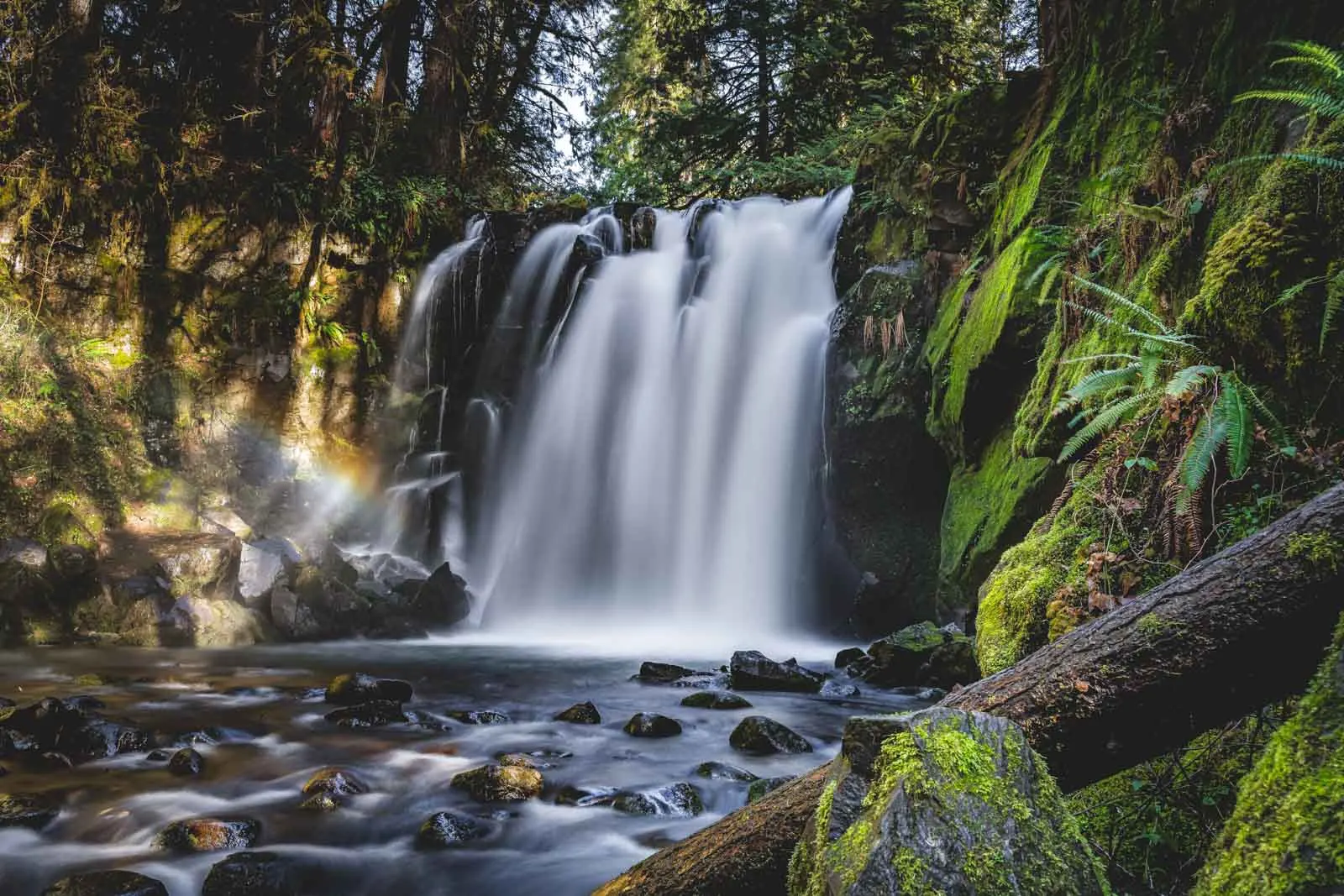 If you're looking for Oregon waterfalls, be sure to visit McDowell Creek Falls.