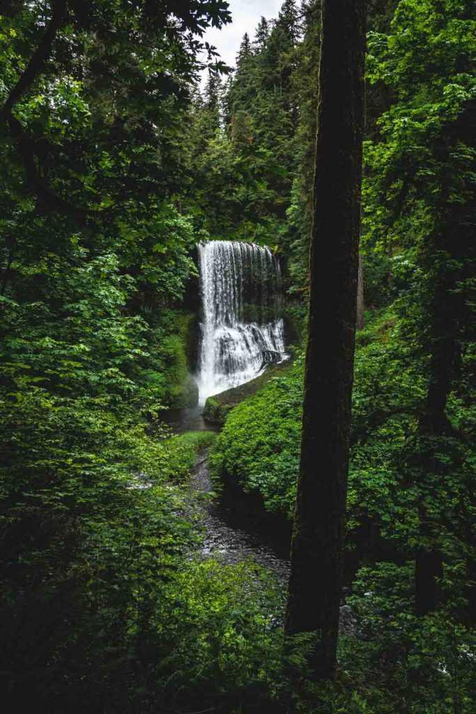 Middle North Falls is one of the most majestic waterfalls in Silver Falls State Park.