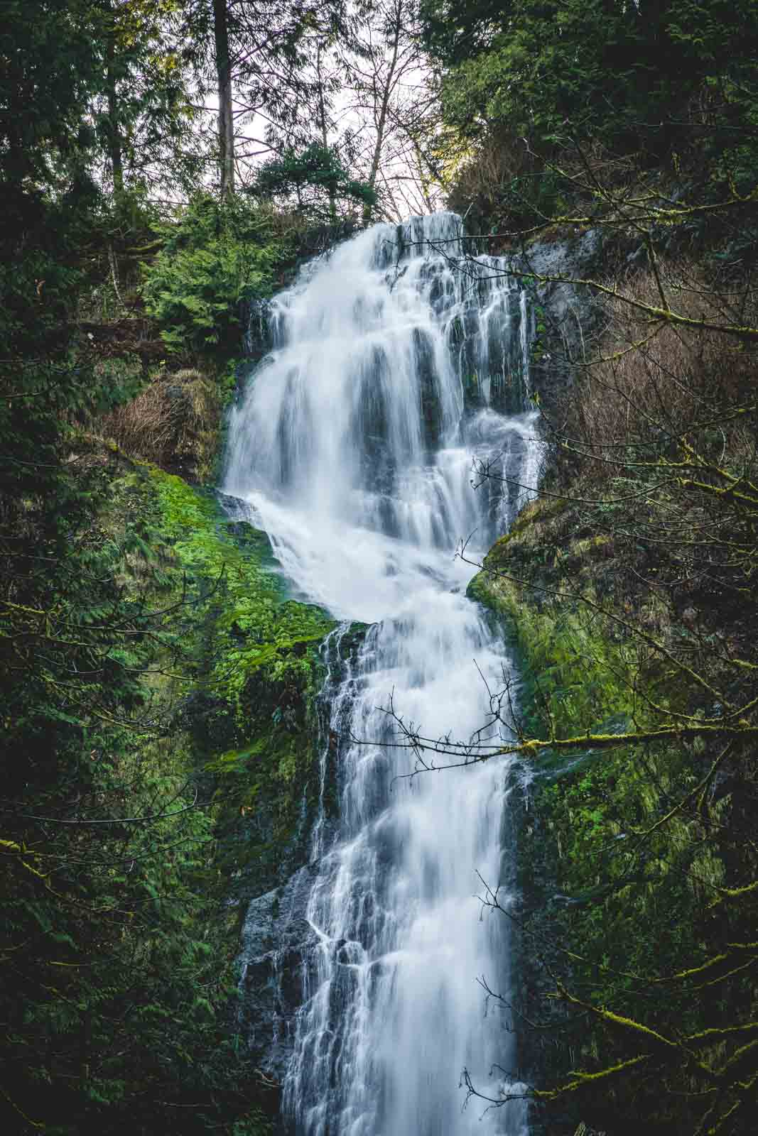 Munson Creek Falls cascading down a moss-covered cliff in the forest.