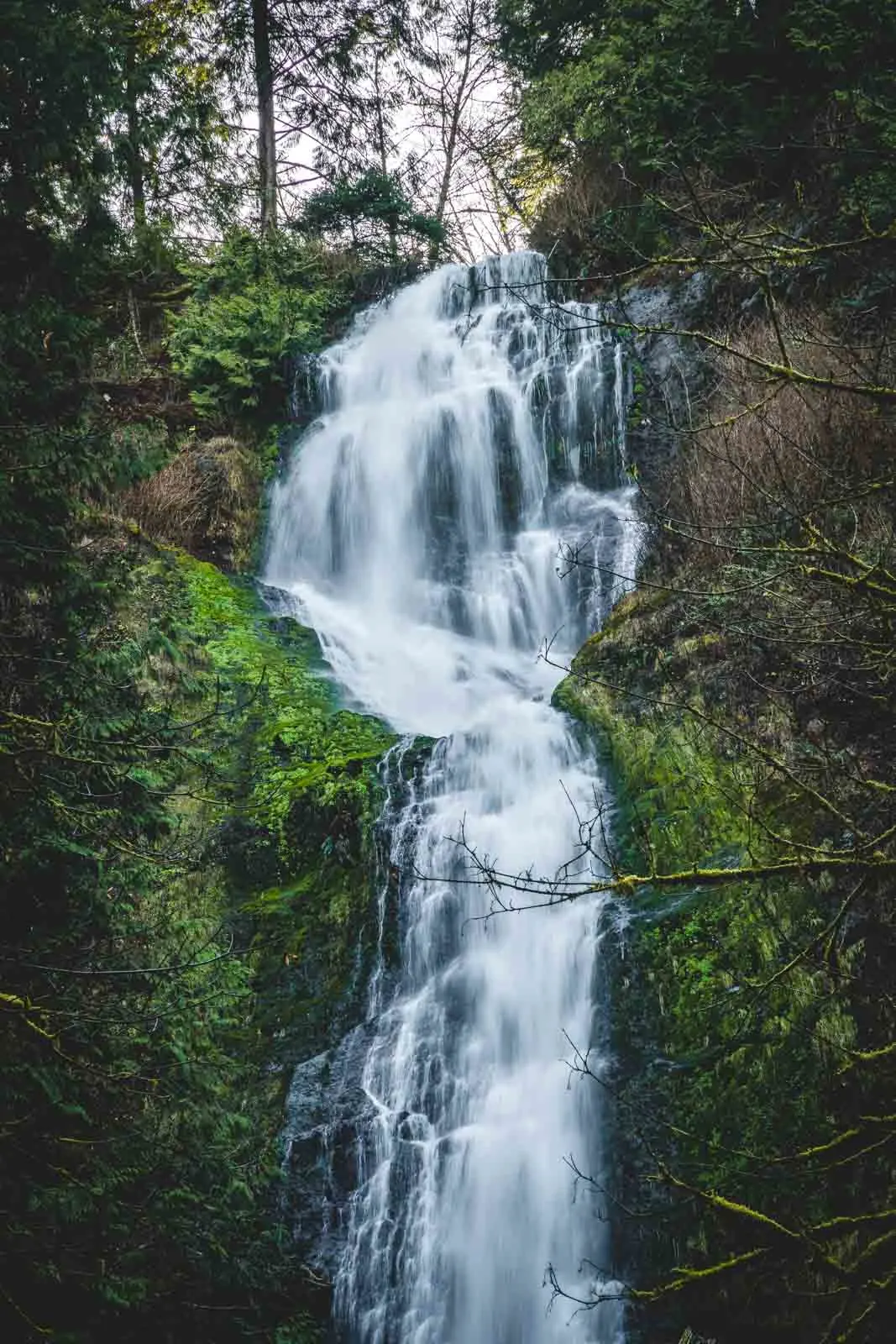 Munson Creek Falls is one of the most breathtaking Oregon waterfalls.