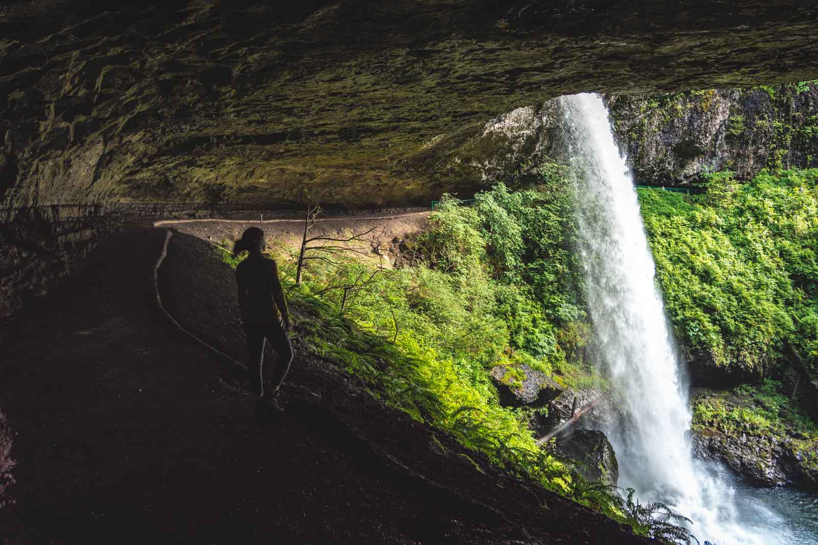 North Falls is a must on your Silver Falls hike.
