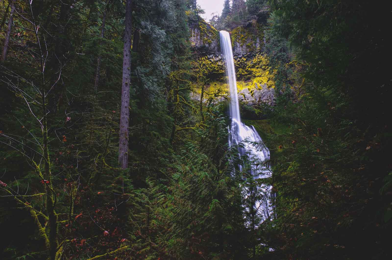 Pup Creek Falls is another notable Oregon waterfall.