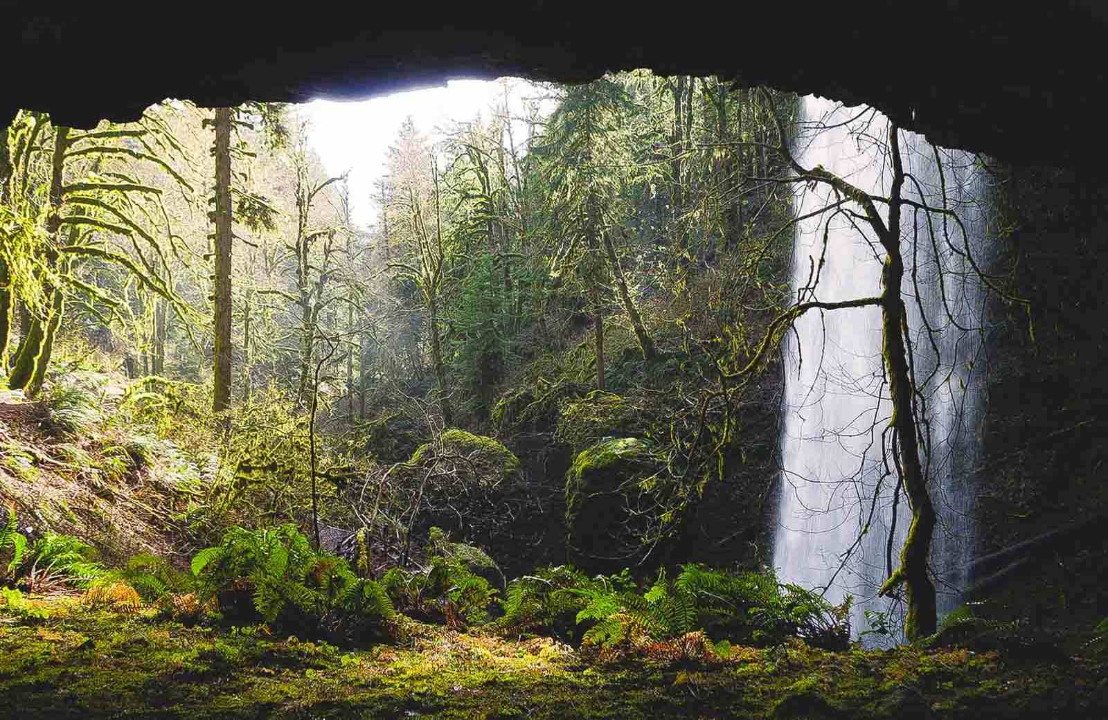 Shellburg Falls is a hidden and beautiful Oregon waterfall.