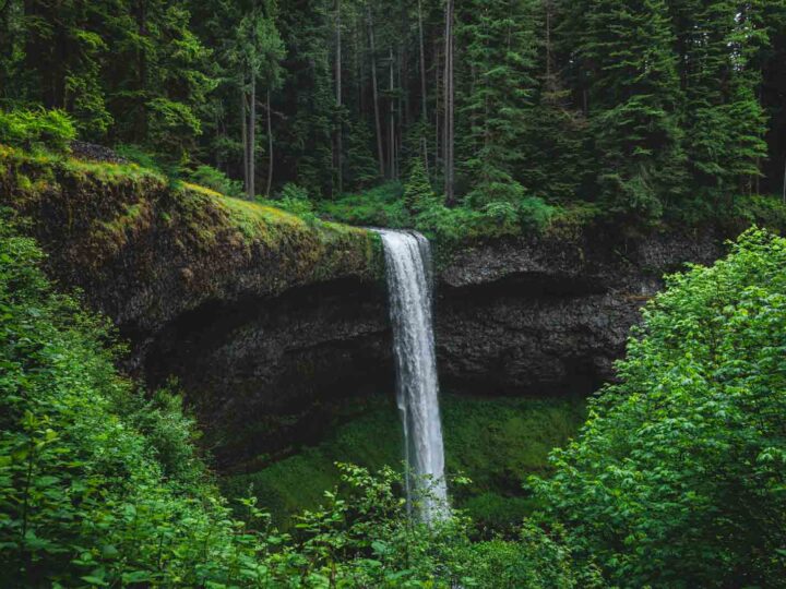 Your Guide to Silver Falls State Park—The Trail of 10 Falls & More