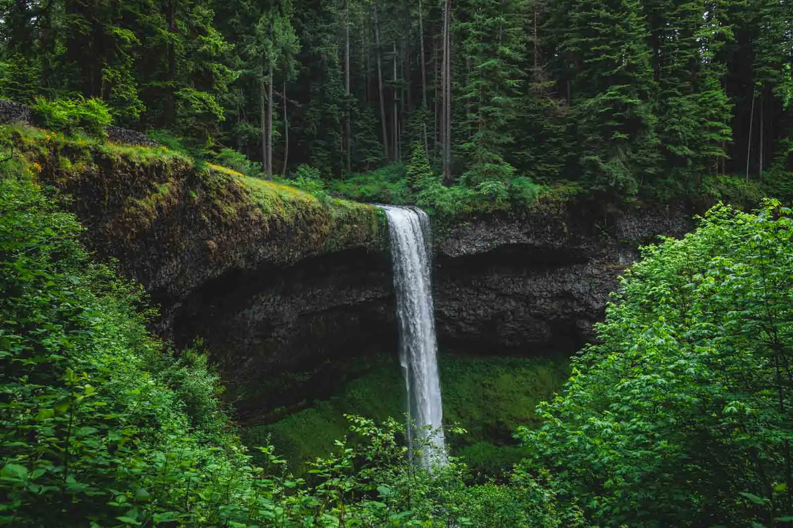 Your Guide to Silver Falls State Park—The Trail of 10 Falls & More