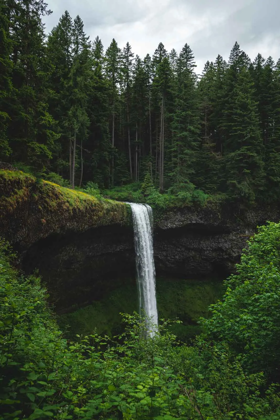 South Falls is a must on your Silver Falls hike.