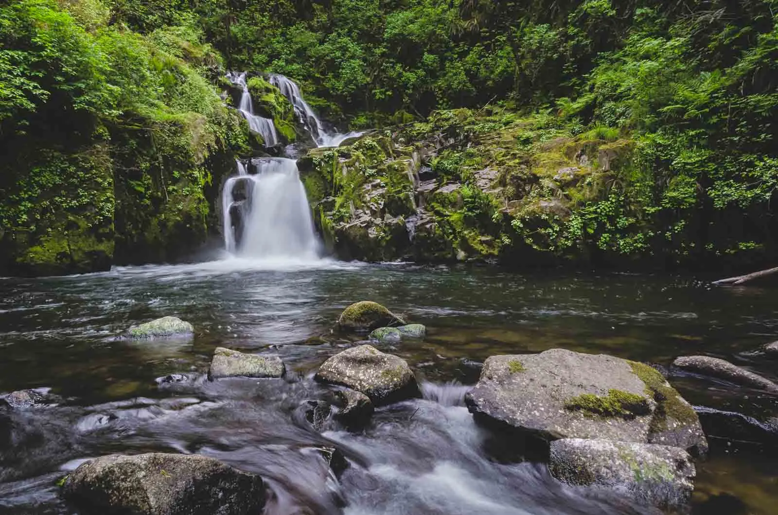 Sweet Creek Falls is a smaller Oregon waterfall.