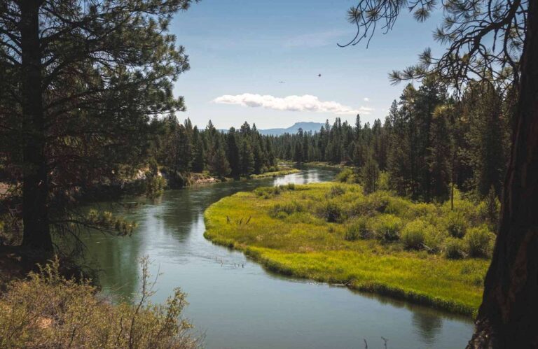 7 Adventurous Things to Do in Sunriver, Oregon