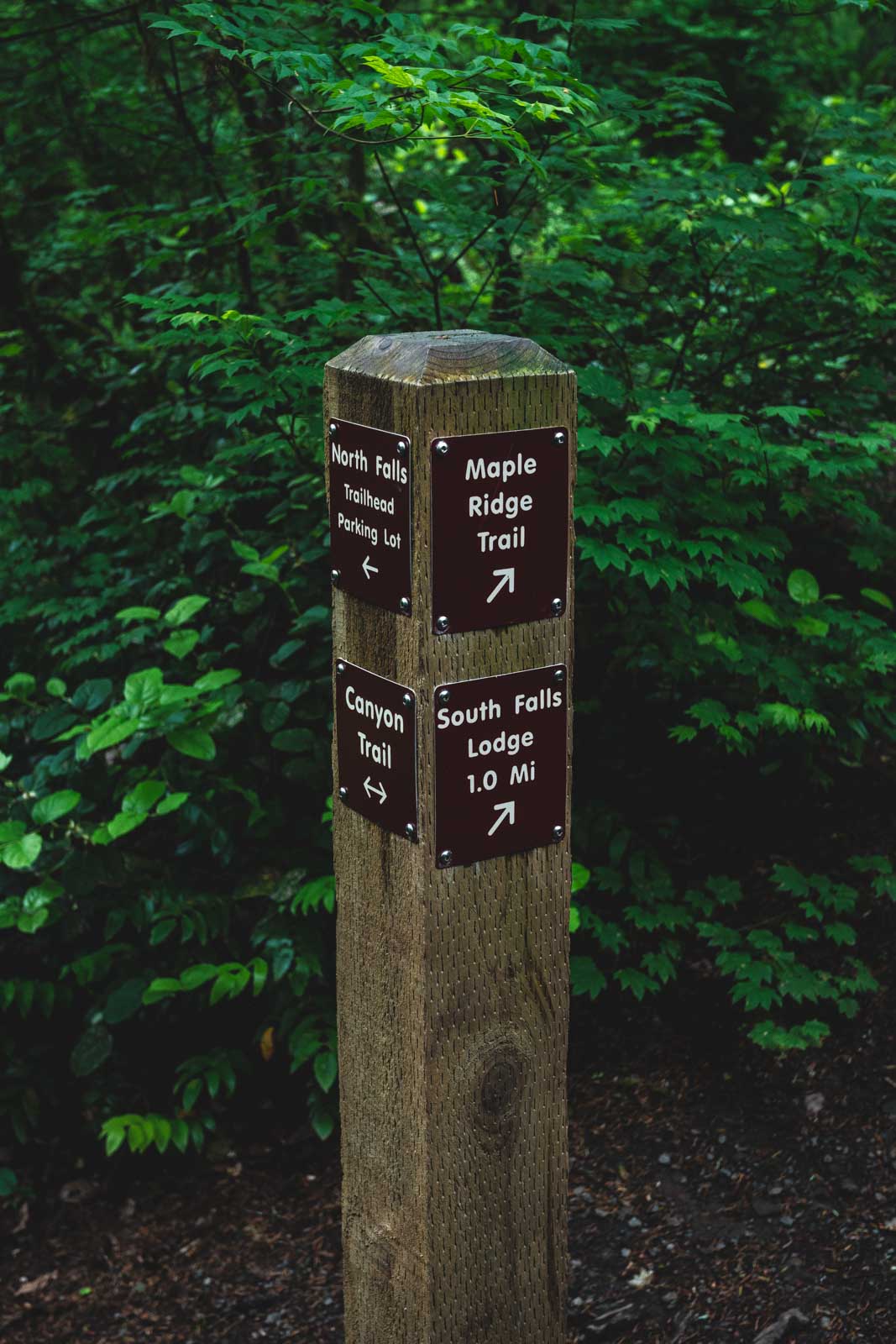 Silver Falls State Park is marked with helpful trail posts.