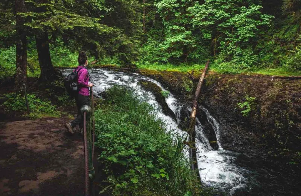 Twin Falls is a smaller yet equally waterfall in Silver Falls State Park.