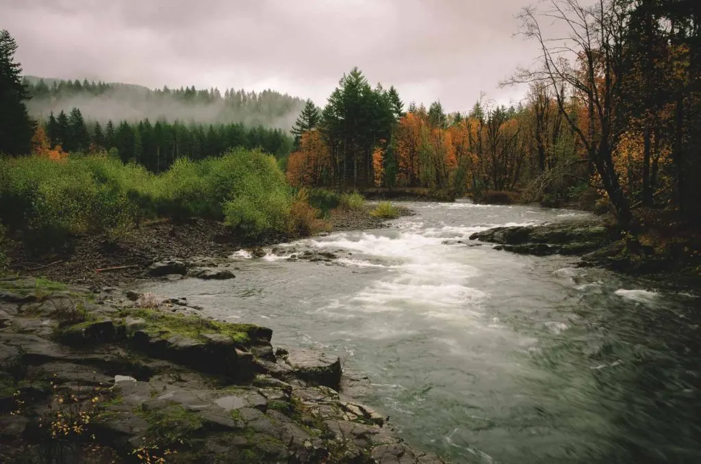 The Wilson River Tillamook hike will take your breath away!