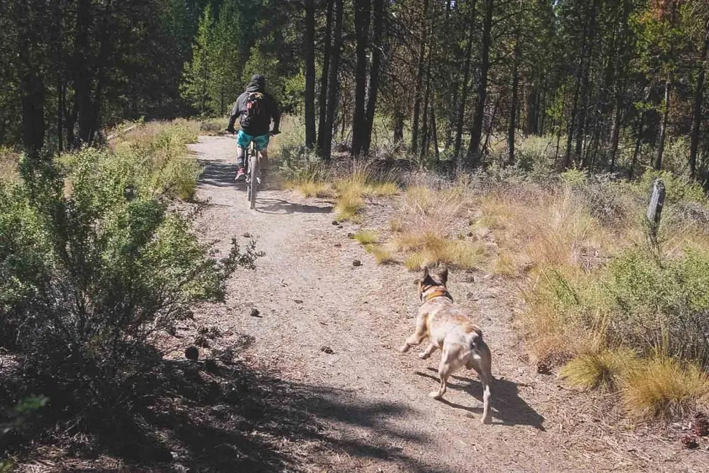 LaPine State Park offers many incredible biking trails.