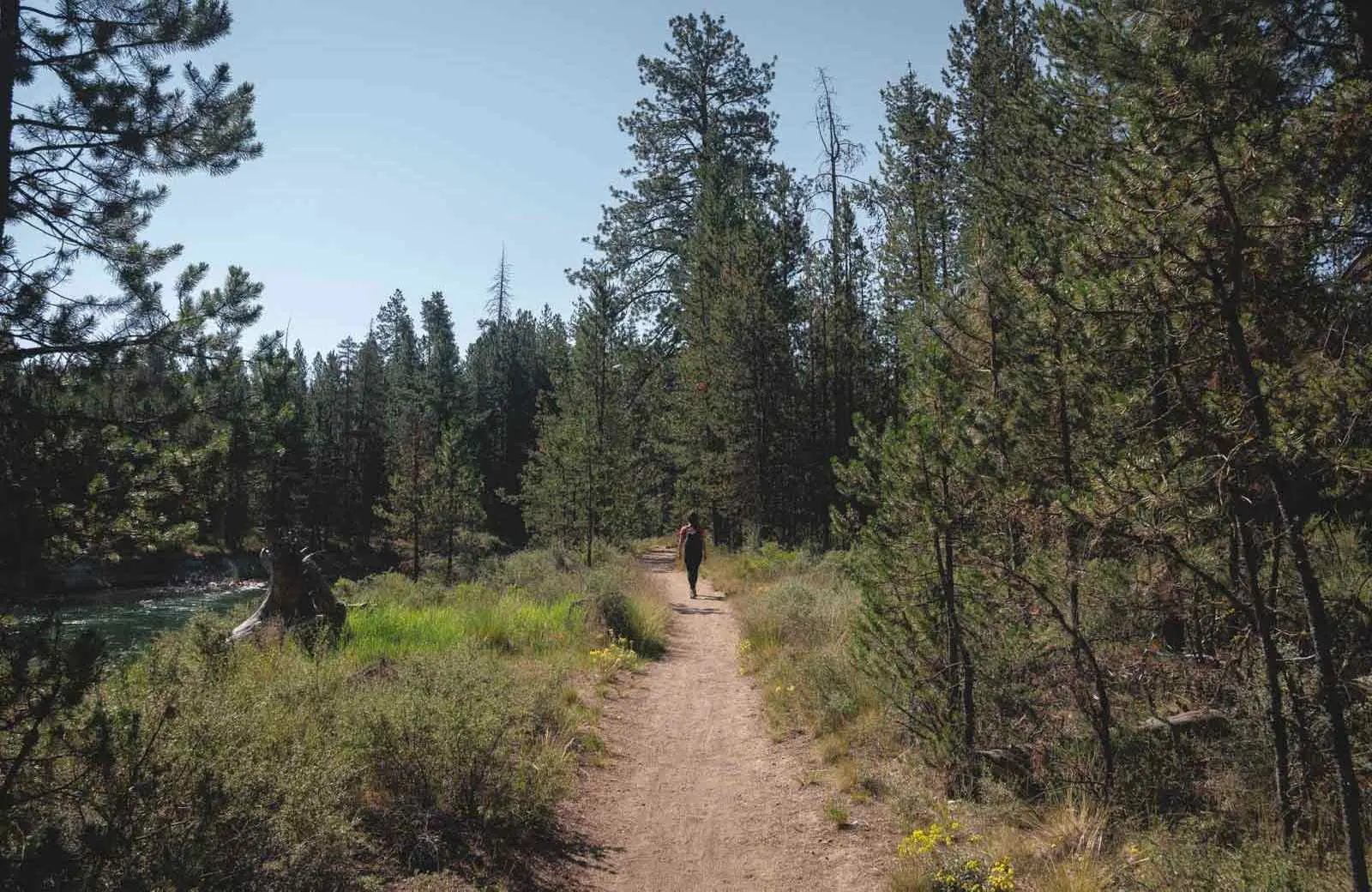 The hiking trails at LaPine State Park are fun and beautiful!
