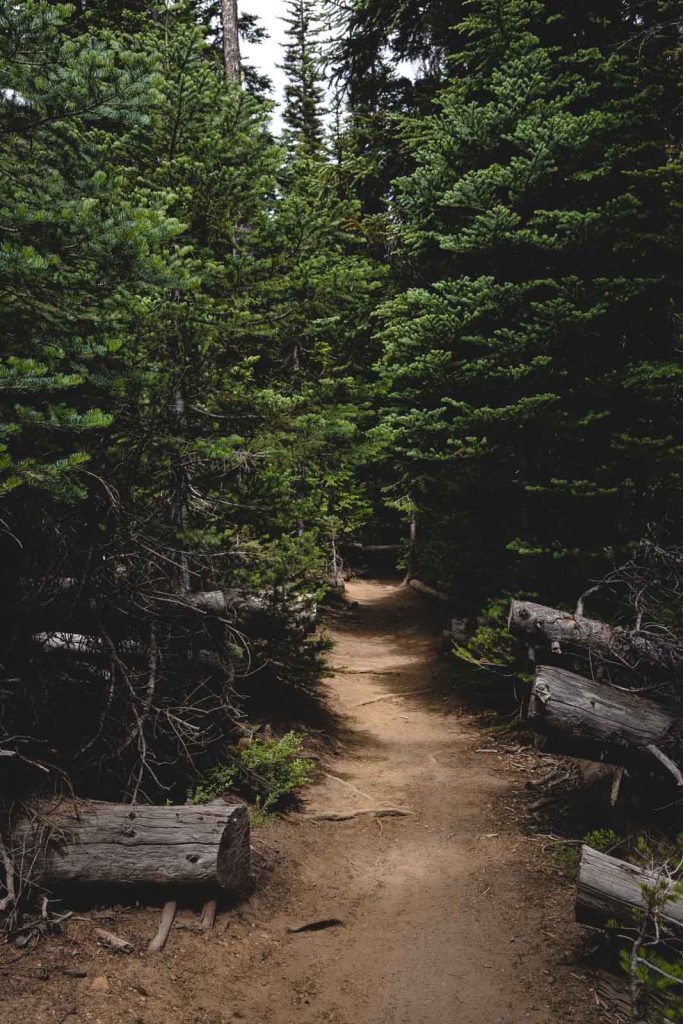 Tumalo Falls Hike & Bike Trail Near Bend, Oregon