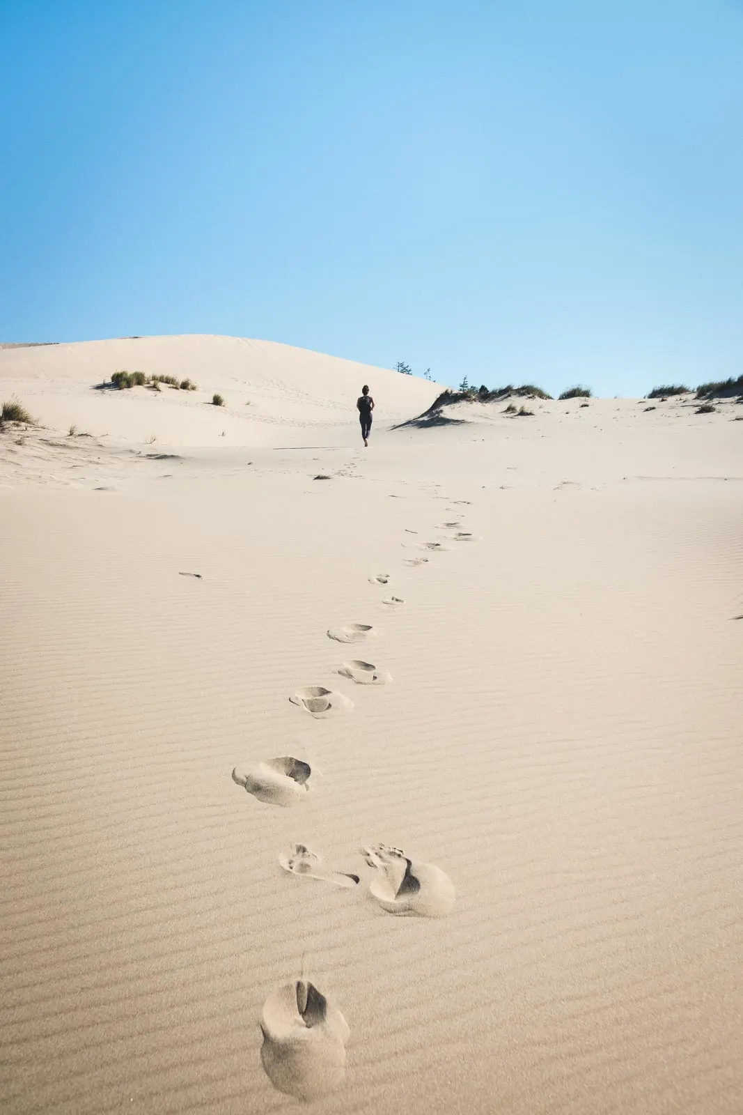 The John Dellenback Trail is a challenging and fun trail in the Oregon sand dunes.