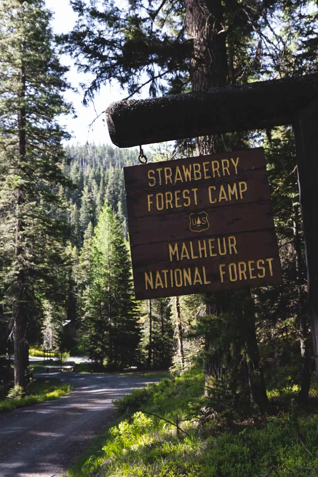 Camping is a fun experience when visiting Strawberry Mountain Wilderness.