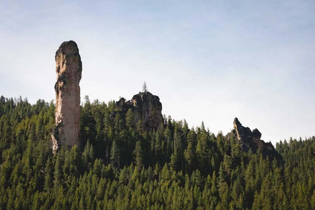 Your Guide to The Ochoco National Forest