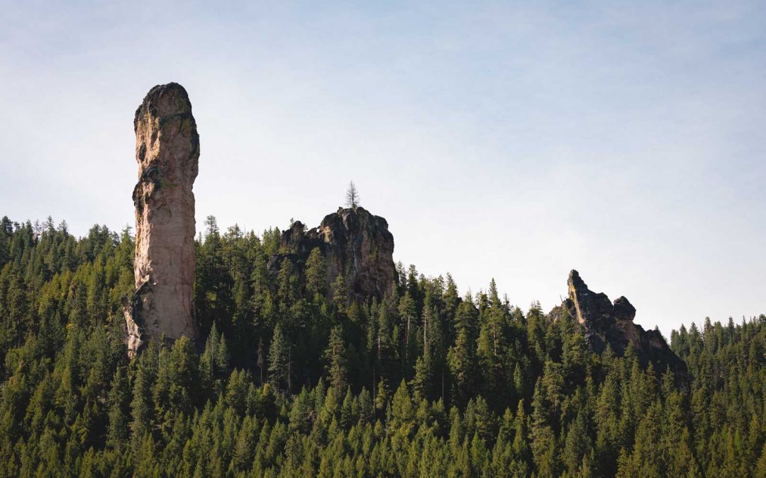 Your Guide to The Ochoco National Forest