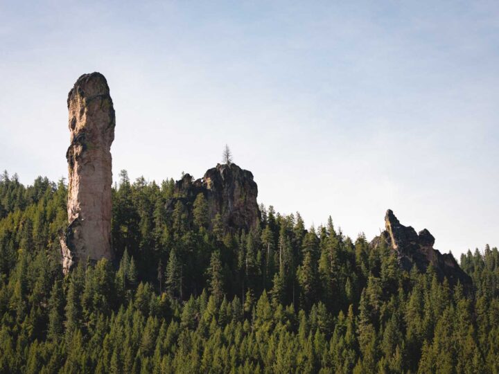 Your Guide to The Ochoco National Forest