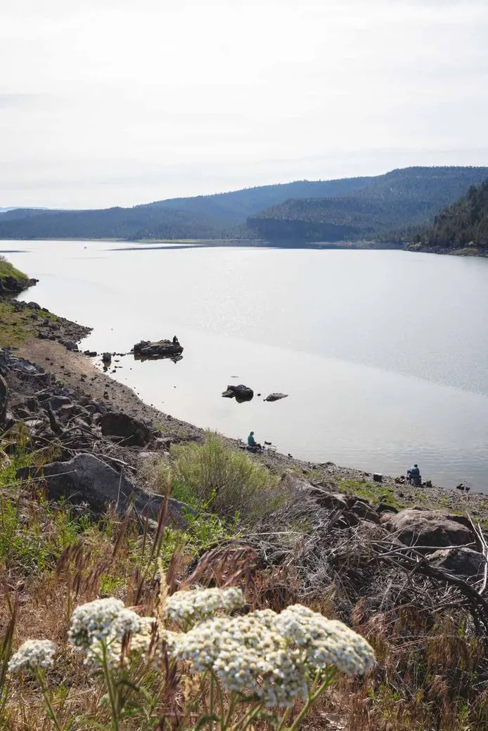 Ochoco Reservoir in Ochoco National Forest offers fun outdoor activities like fishing and kayaking.