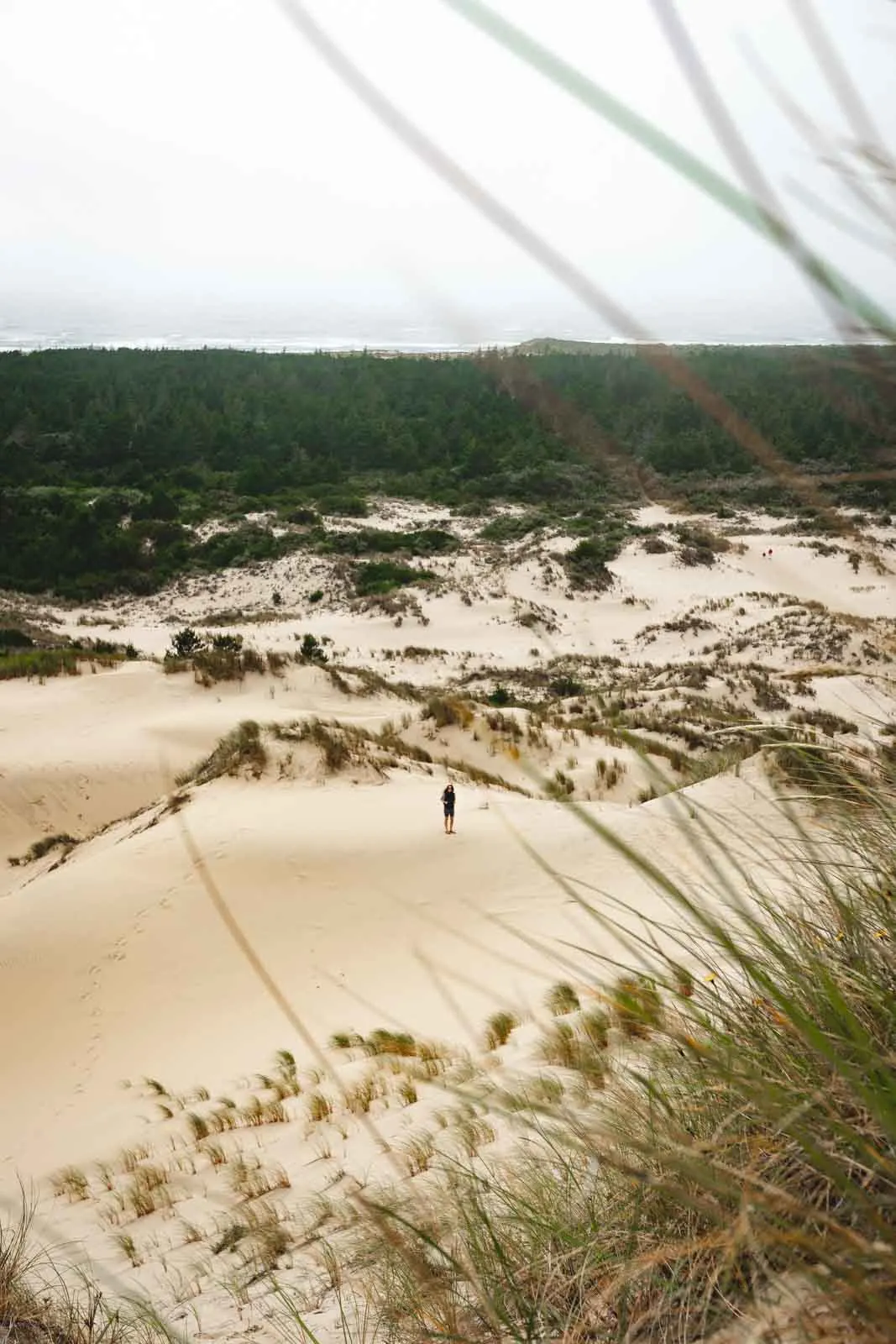 The Oregon Dunes NRA trail is a fun hike when visiting the Oregon sand dunes.