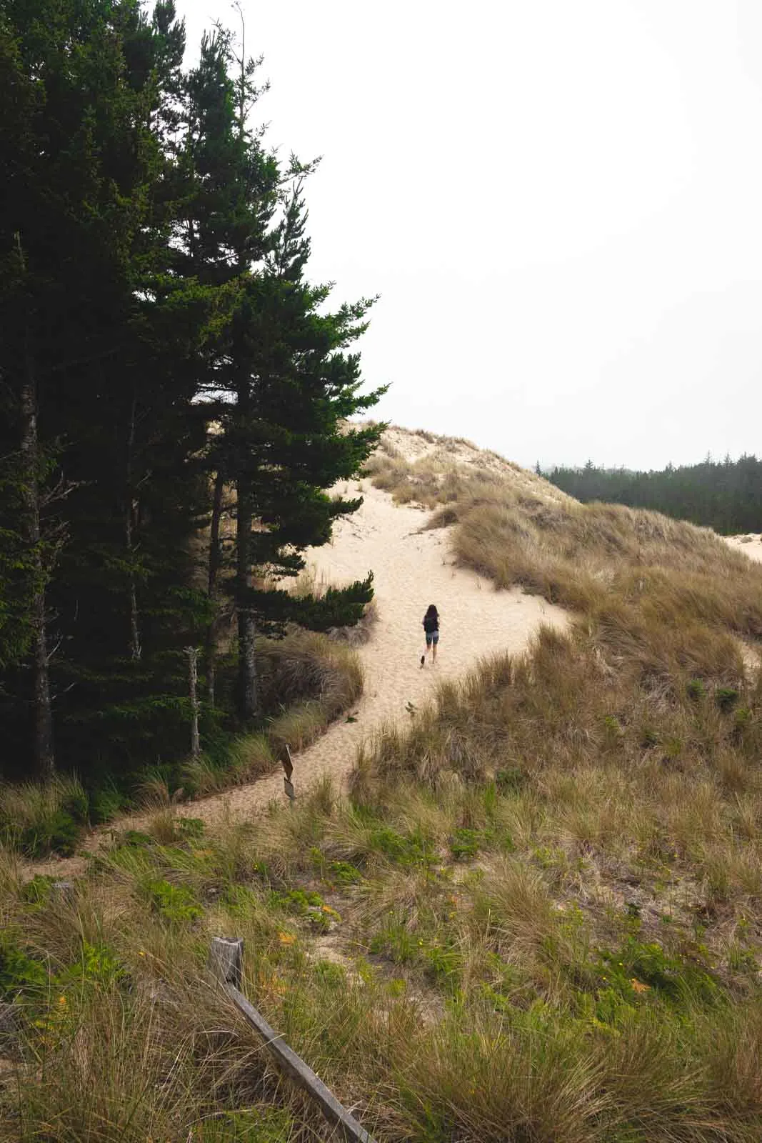 The Oregon Dunes NRA trail is a fun hike when visiting the Oregon sand dunes.