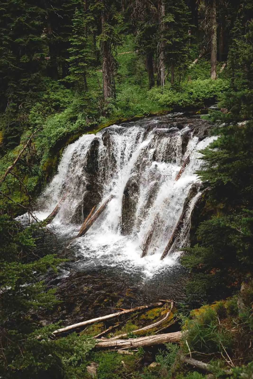 You won't be disappointed by your Tumalo Falls hike!