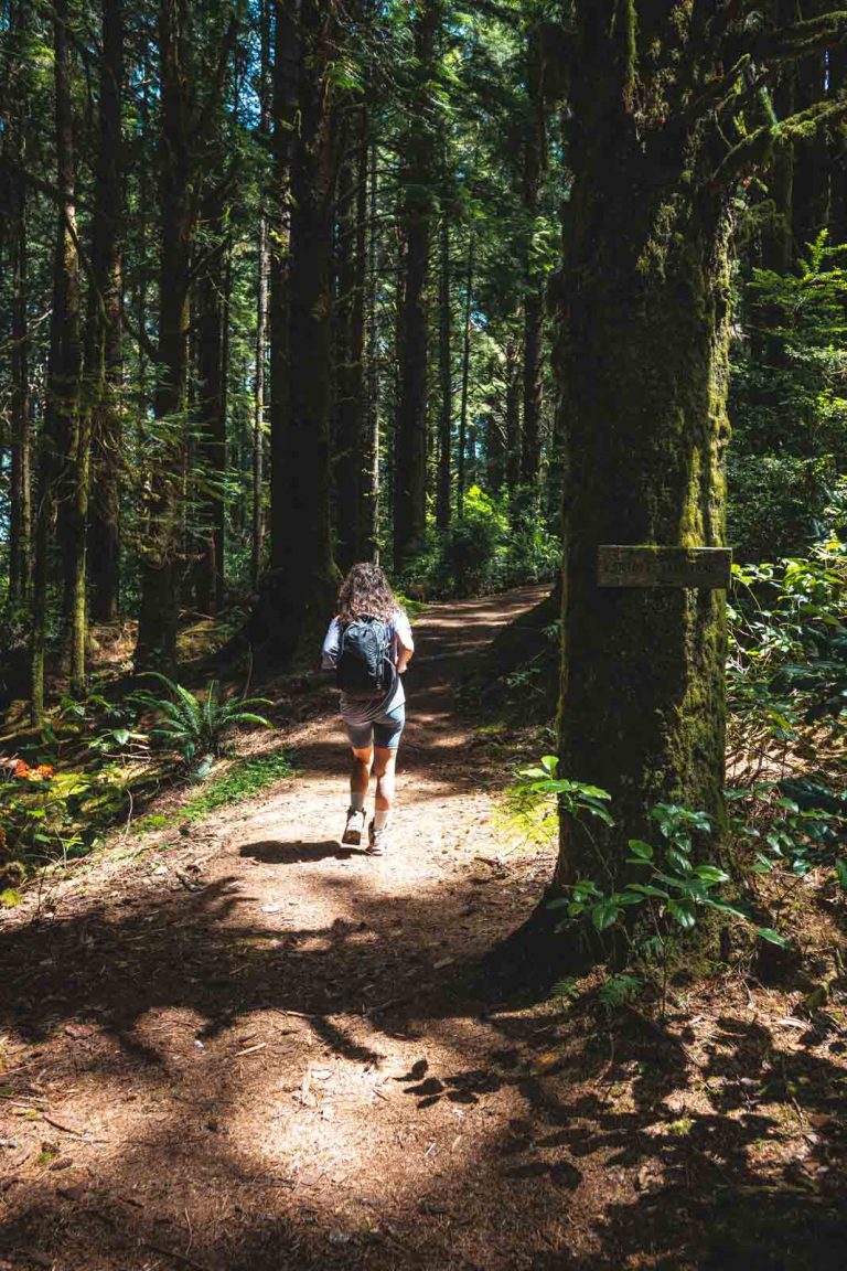 Siltcoos Lake has a few trails within the Oregon Dunes National Recreation Area.