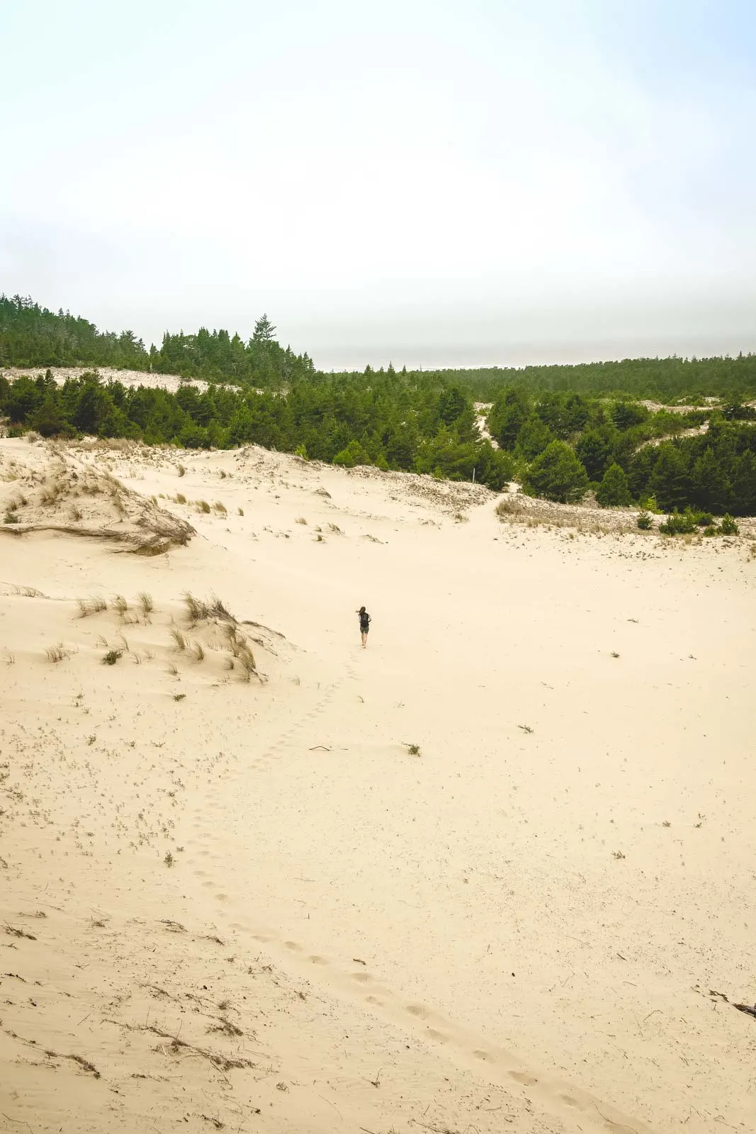 Tahkenitch Dunes Trail is one of many Oregon dunes that has pretty views.