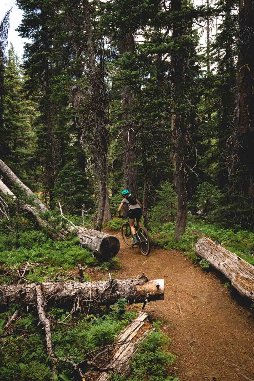You'll see a few bicycle trails on your Tumalo Falls hike.