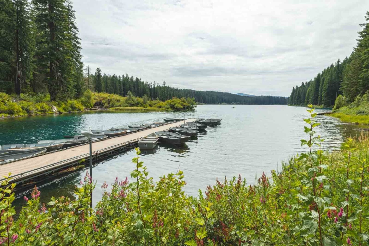 Your Guide to Exploring Clear Lake, Oregon - Oregon is for Adventure