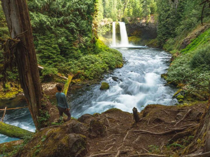 Exploring the Sahalie and Koosah Falls Hiking Loop