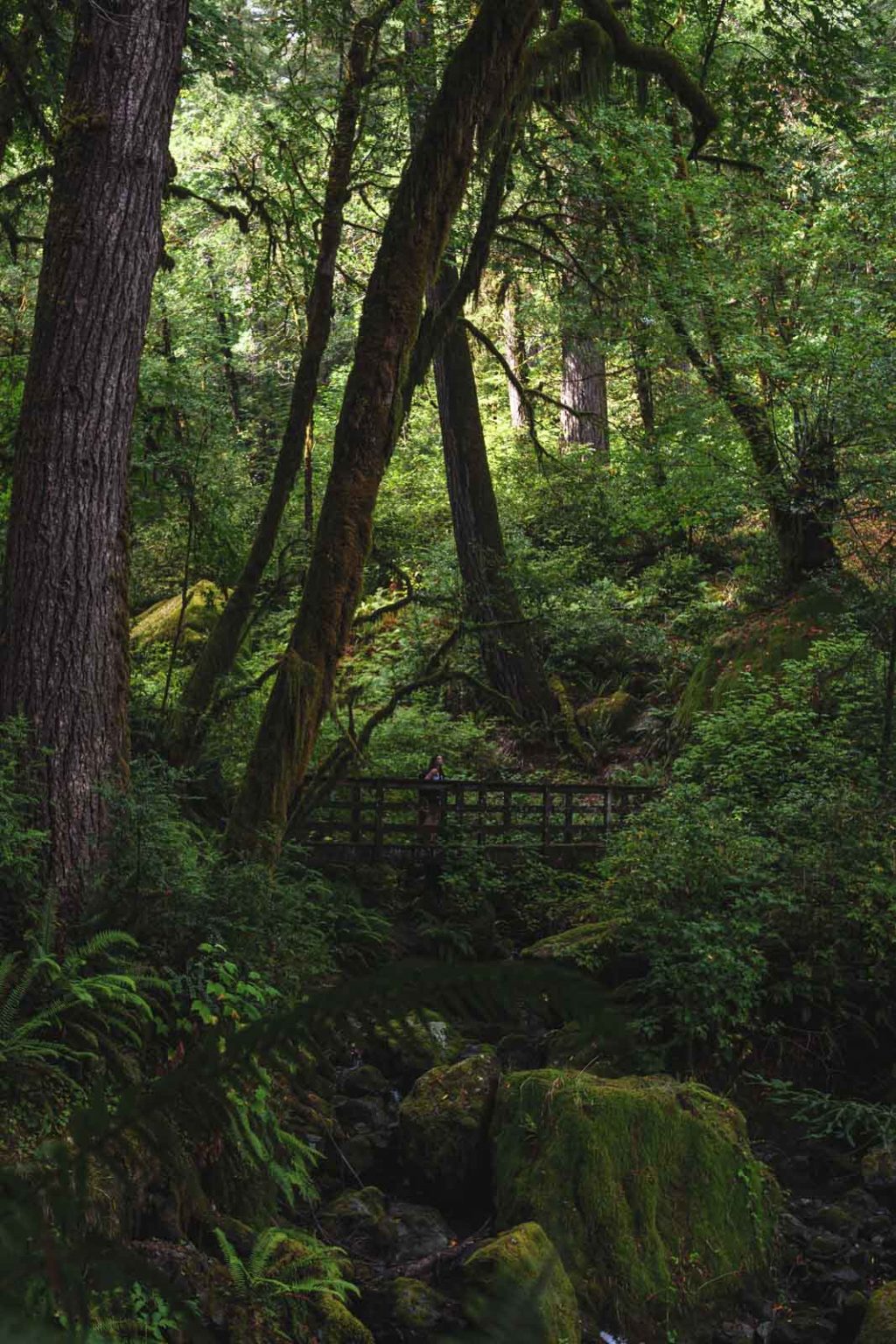 7 Adventurous Things to Do in Brookings, Oregon