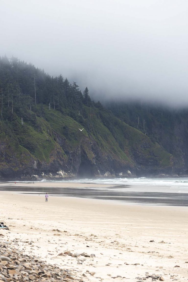 Beach and forested sea cliffs at Cape Lookout - one of the best Oregon Coast State Parks