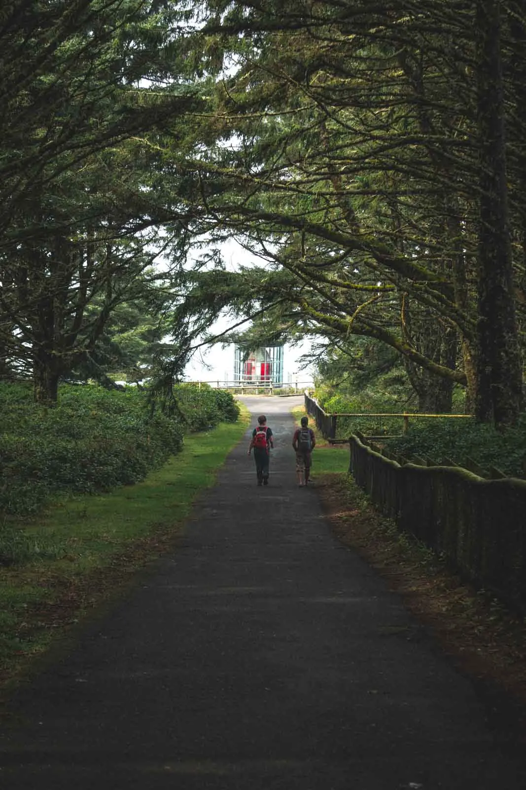 Trail to Cape Meares Lighthouse. People walking trail to Cape Meares Oregon Lighthouse.