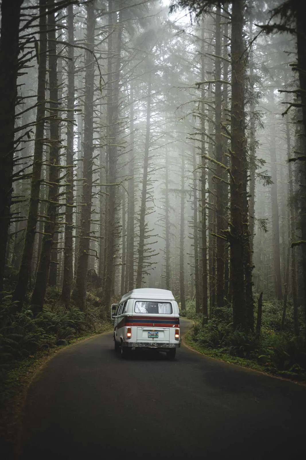 VW van on road in the forest at Ecola State Park, one of the Oregon Coast State Parks