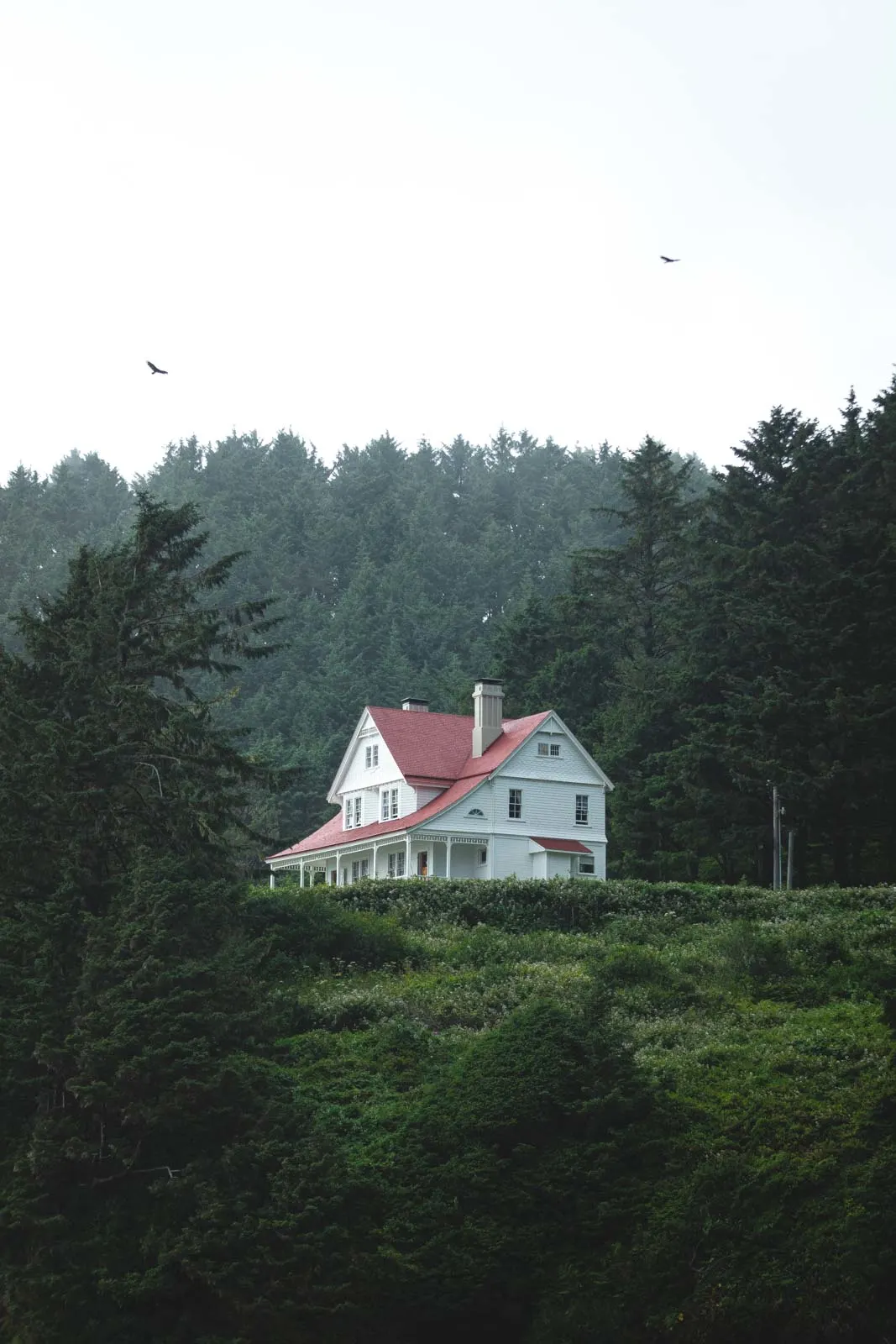 View of Heceta Lighthouse Keeper's House turned into a bed & breakfast hotel surrounded by trees.