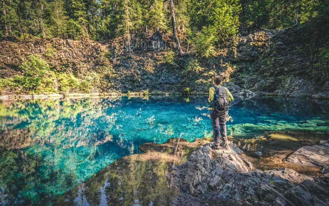 Your Guide To Hiking The McKenzie River Trail