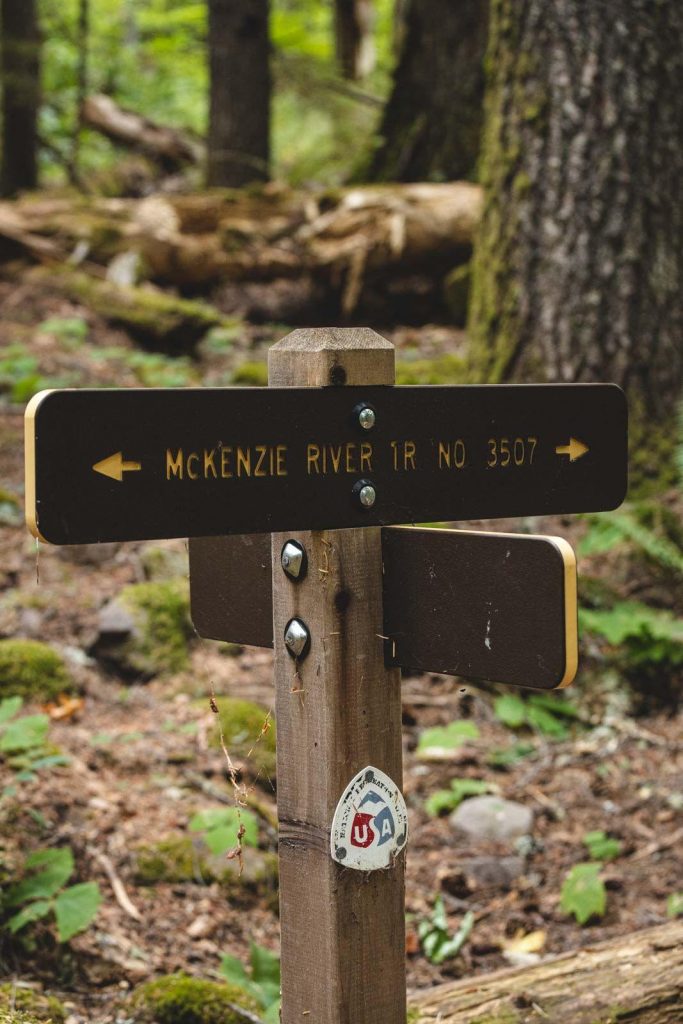 The McKenzie River Trail direction sign in forest