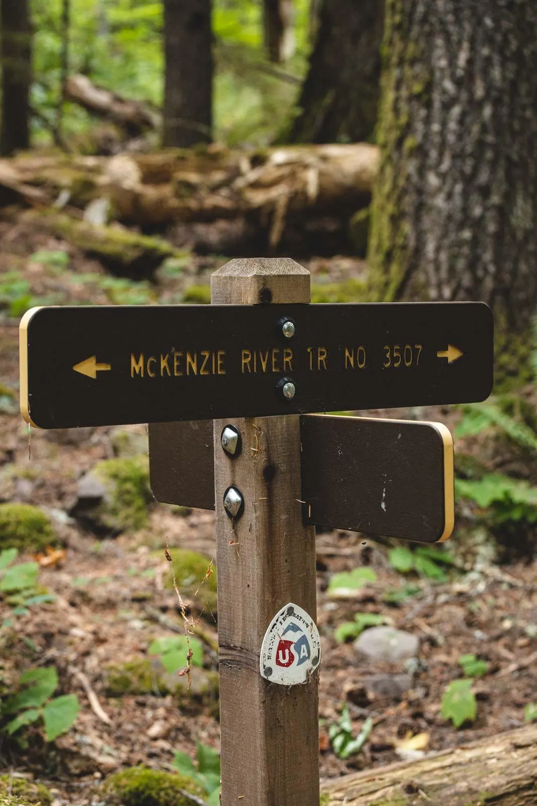 The McKenzie River Trail direction sign in forest