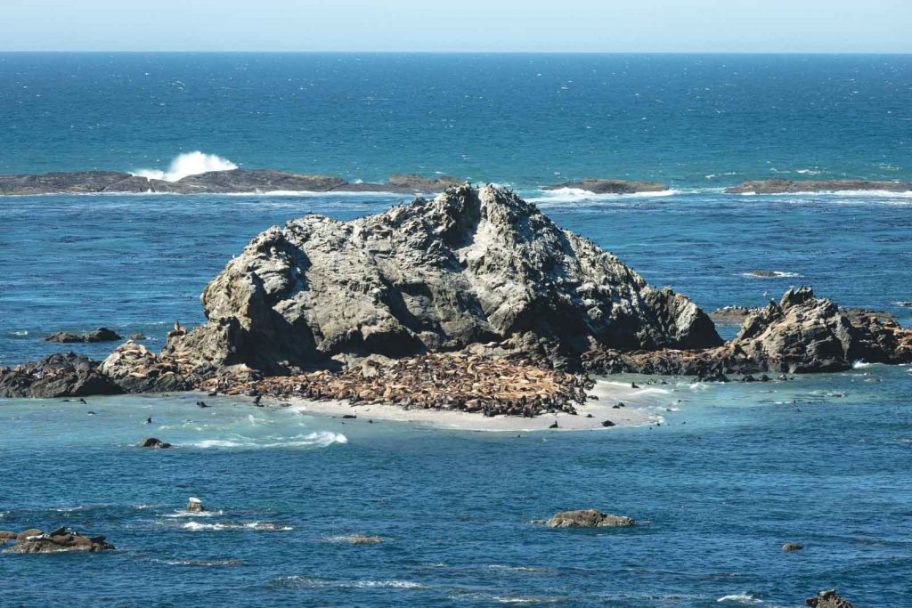 View over rock islands in the ocean at Shore Acres State Park near Cape Arago Lighthouse.