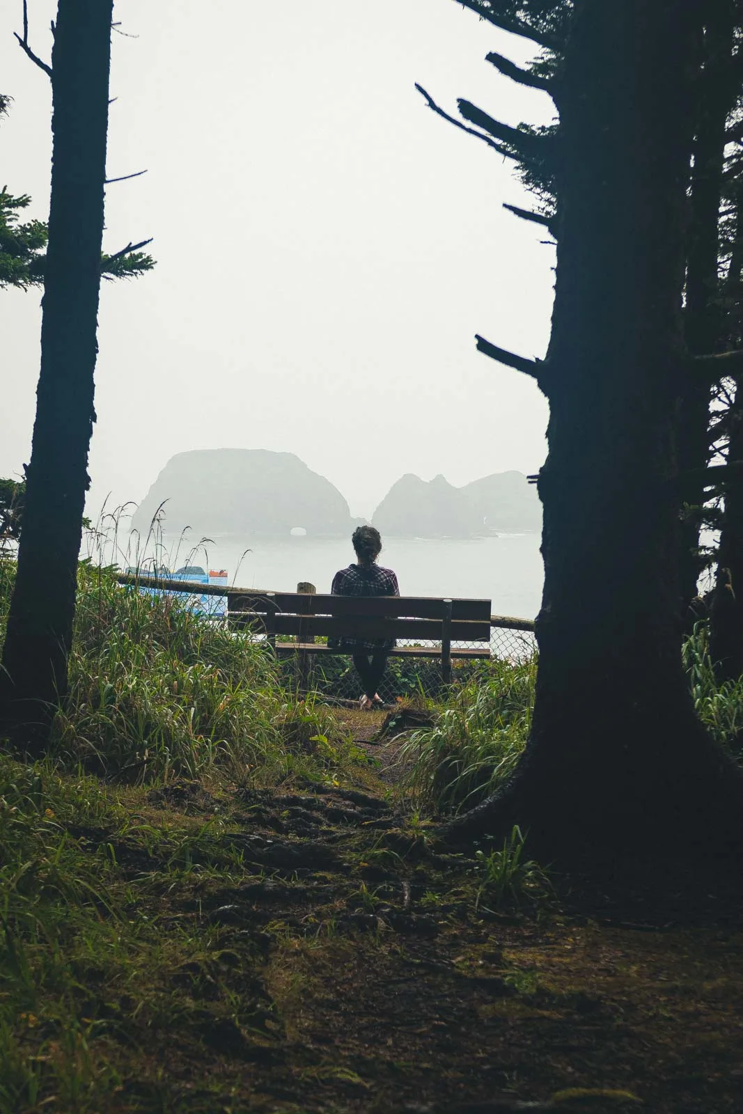Person sitting on bench with trees looking out at ocean view near Cape Meares Oregon Lighthouse
