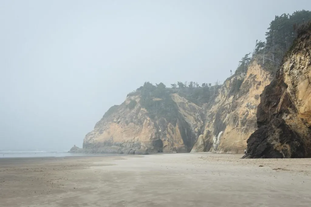 Sea cliffs and foggy beach at Hug Point