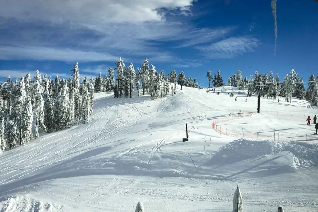 Snow covered mountain with trees at Mount Ashland Ski Resort in Oregon