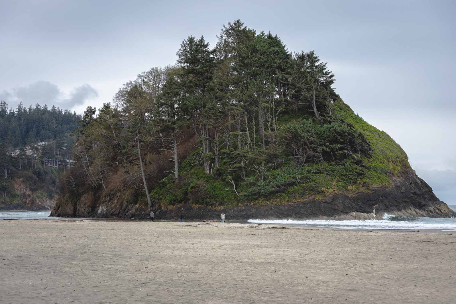 Ghost beach. Neskowin Ghost Forest, Oregon. Forest near the Beach.