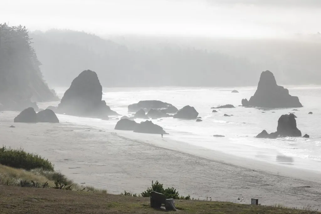 Foggy beach with sea stacks rising out of the ocean at Port Orford Beach, one of the best beaches in Oregon