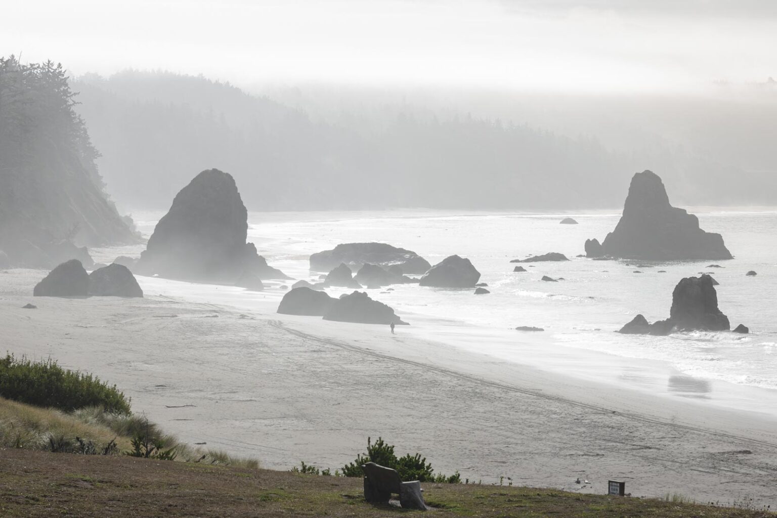 23 Amazing Beaches in Oregon and What To Do Nearby